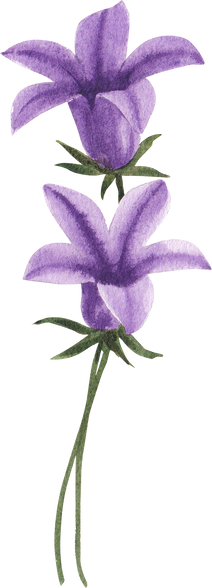 Purple Flowers Watercolor